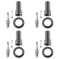 Set of 4 NGK Spark Plugs & Denso Coil Boots for Hyundai Accent 2011–2017
