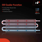 Trans Oil Cooler for Chevy Ford Buick (1951-2018)
