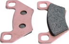 Sintered Brake Pad for Arctic Cat 1000 TRV (2009–2010)