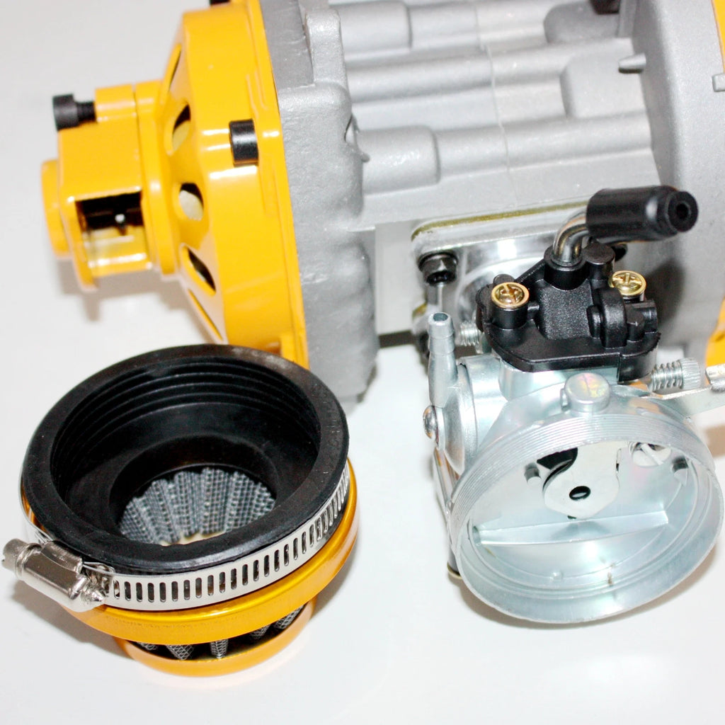 49cc 2-Stroke Engine Motor for Mini Pocket Quad Dirt Bike (Racing)