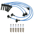 NGK Wire Set & Bosch 6 Platinum Spark Plugs for Ford Contour Cougar Mystique (1995–2002)