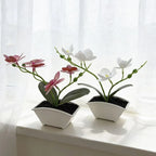 Plastic Phalaenopsis Orchid for Wedding Home Tabletop