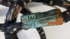 Radio Wiring Harness LJC3650CB for Jaguar XK8 (1999)