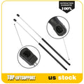 Set of 2 Front Hood Lift Support Shocks for Volkswagen Eos (2006–2015)