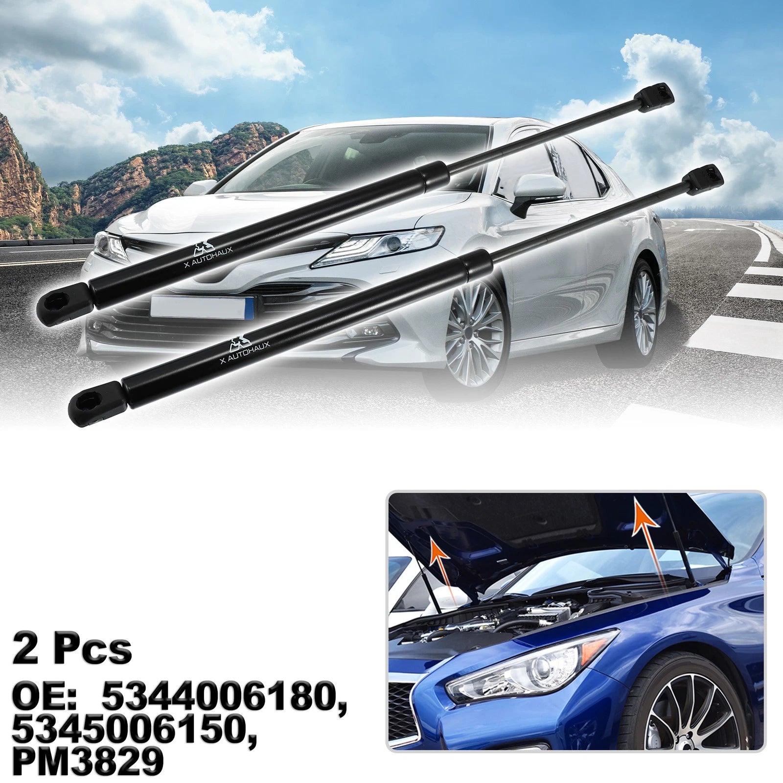 2X Front Hood Gas Lift Supports for Toyota (53440-06180)