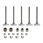 Intake & Exhaust Valves Kit for Yamaha YZ450F (2003–2009) WR450F (2003–2015) YFZ450/R (2004–2023)