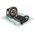 Regulator Magneto Stator Coil Gasket for Suzuki VL1500 Intruder C1500 (2005–2009)