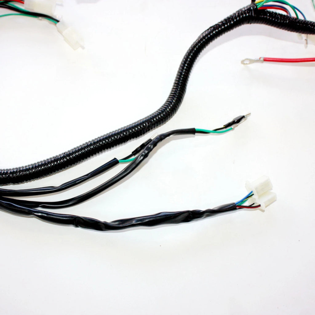 Engine AC Wiring Harness for 150cc 250cc PIT Quad Dirt Bike ATV Buggy