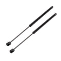 2 Pcs Front Hood Lift Supports Gas Strut for Ford Taurus (2010–2019)