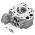 Cylinder Head Valves for Honda Foreman TRX500 (2012–2019), Rancher TRX420 (2009–2024)