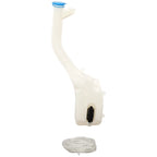 Washer Reservoir for Nissan Sentra (2007–2012) with Filler Pump Neck and Cap