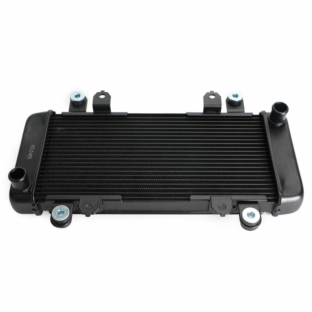 Radiator Guard for Kawasaki Ninja 300 EX300 (2013–2017)