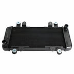 Radiator Guard for Kawasaki Ninja 300 EX300 (2013–2017)