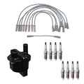 Set of 8 Denso Ignition Coil Wires & NGK Platinum Spark Plugs for P30 P3500 (V8 Vin J)