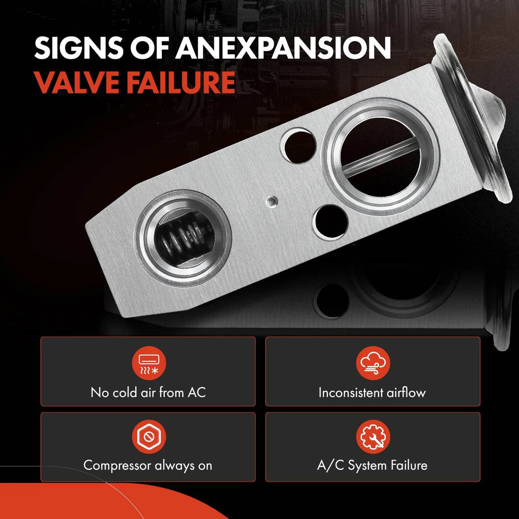 A/C Expansion Valve for Nissan Pathfinder Infiniti QX4 (2000)