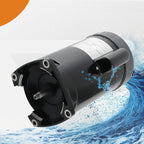 1.5HP Square Flange Pool Motor for Challenger Pool Pump (B2854V1)