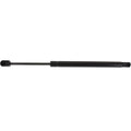 Hood Lift Supports Set of 2 for Ford