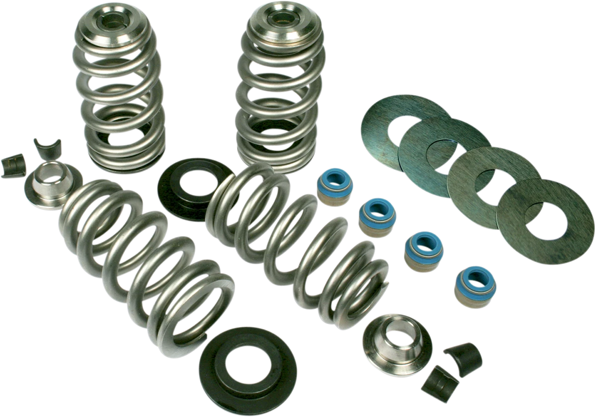 Valve Spring Kit for Harley-Davidson TC (2017–2023) - Endurance Beehive, TI Retainers