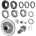 Rear Differential Pinion Ring Gear Bearings for Honda Recon TRX250 (2002–2023)