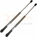 2X Rear Glass Window Lift Supports Struts for Mitsubishi Endeavor (2004–2011)