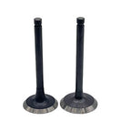Engine Maintenance Kit for EX17 EX21