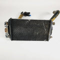 Complete Radiator and Fan Assembly for Harley-Davidson XG750 (2015–2020)