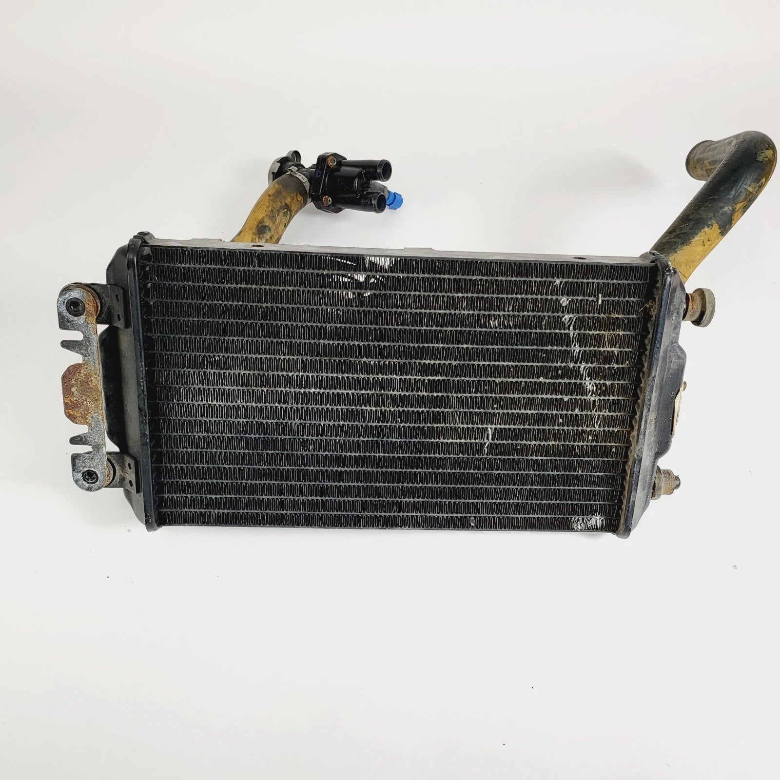 Complete Radiator and Fan Assembly for Harley-Davidson XG750 (2015–2020)