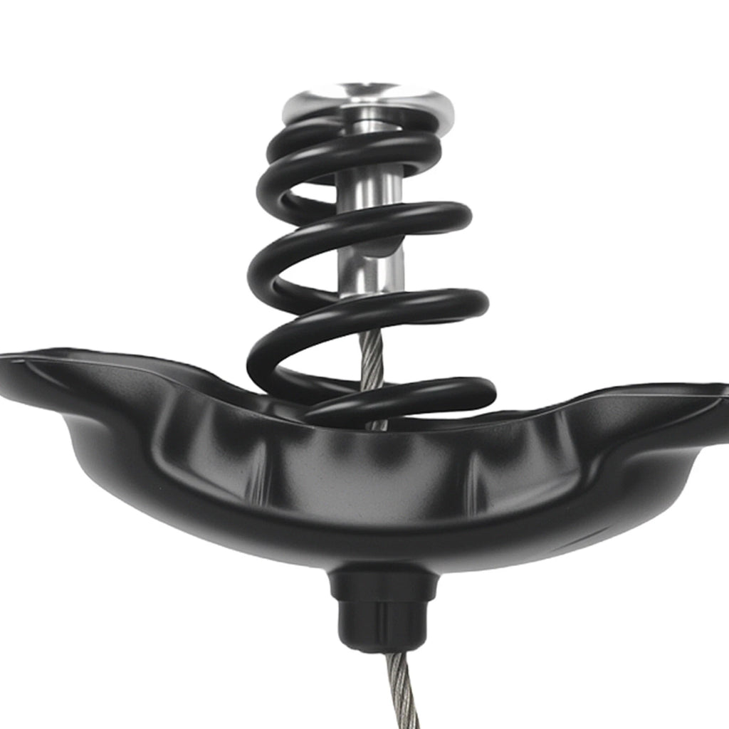Spare Tire Hoist for Toyota Tundra Standard Cab (2000–2006)