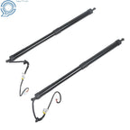 2Pcs Tailgate Liftgate Support Struts for Toyota Highlander (2014-2019)