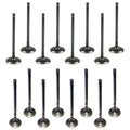 Set of 16 Intake & Exhaust Valves Kit for Elantra Forte Tucson Soul (L4 DOHC)