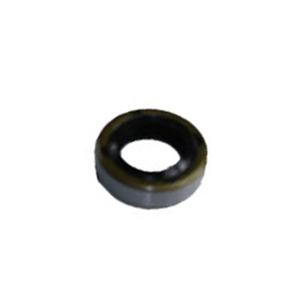 Gasket Oil Seal for TS410 TS420 (4238 007 1003)