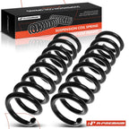 2X Rear Suspension Coil Springs for Mercedes W211 E280 E320 E350 (2003–2009)
