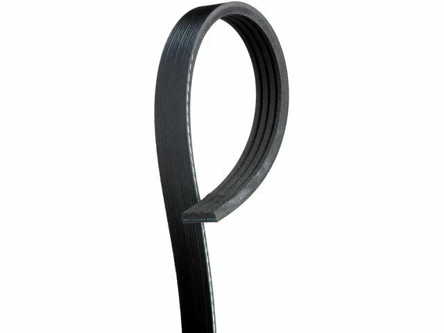 Multi Rib Belt for Suzuki Vitara 1999–2002 (1.6L 4 Cyl, Q196DF)