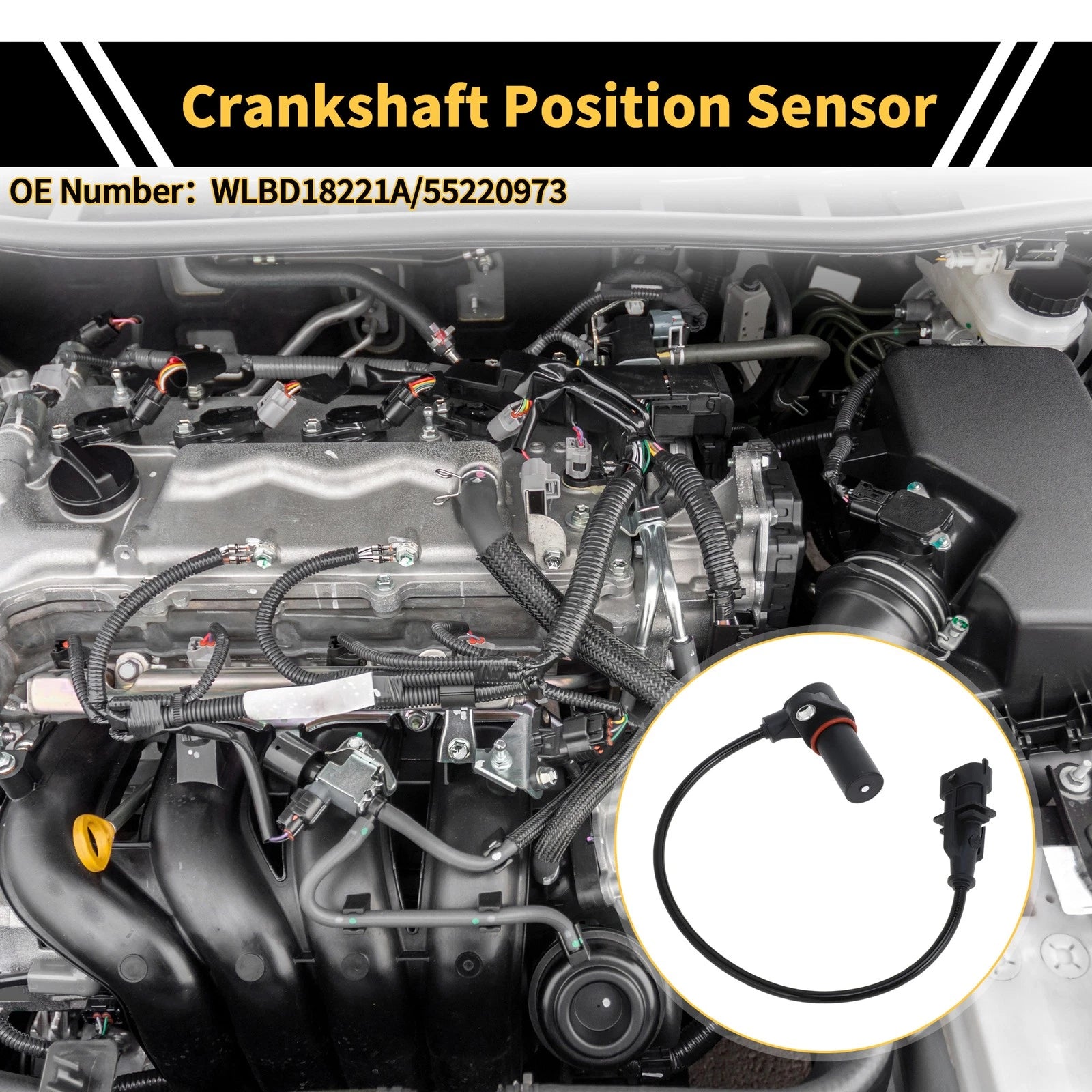 Crankshaft Position Sensor for Mazda BT-50 Pickup (2006–2015) WLBD18221A