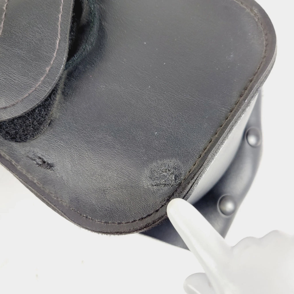 Saddlebag Guard for Harley Davidson Touring (93300062)