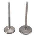Inlet & Exhaust Valves for Yamaha F 200 225 250 HP 4-Stroke 2011–2019