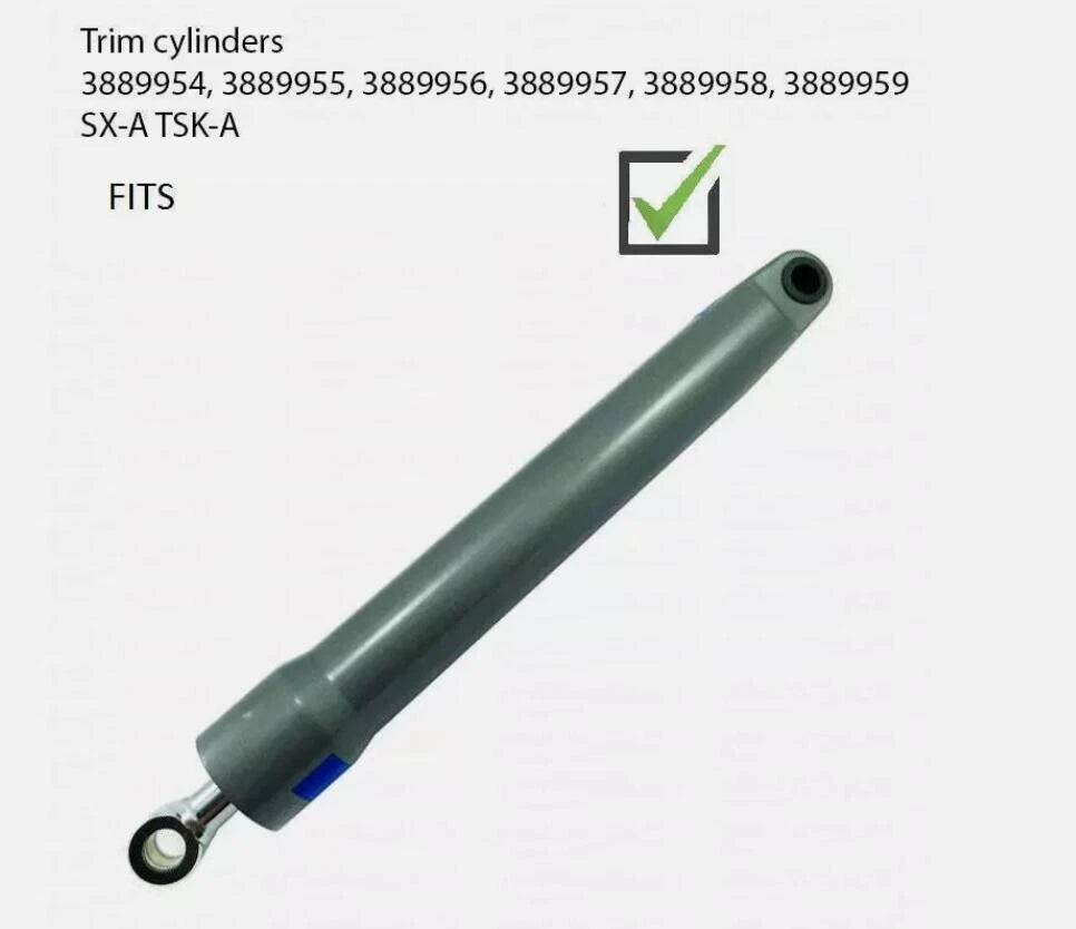 Trim Cylinder Ram Rebuild Kit for Volvo Penta SX-A DPS-A (Fits 3889954, 3889955)