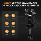 Complete Strut Assembly for Subaru Outback (2005-2009)