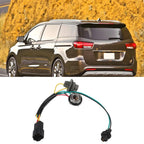 Tail Light Socket Wire Harness Assembly for Kia Sedona (2015–2018)