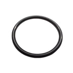 2X O-Ring for OMC (302588)