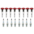 Set of 8 Ignition Coils & NGK Platinum Spark Plugs for Cayenne Touareg (2003–2010)