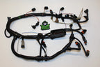 OEM Engine Wire Harness for Seadoo GTX 4TEC Sportster Speedster Utopia (2002–2006)