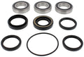 Rear Wheel Bearing Kit for Honda TRX250 Recon (1997–2001)