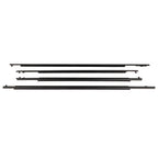 Weatherstrip Seal Belt Moulding for Toyota Prius (2010â2015)