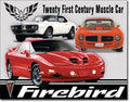 Vintage Replica Tin Metal Sign for Chevy Pontiac Firebird (1770)