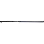 Lift Support for Chevrolet HHR (2006–2009) Driver or Passenger Side
