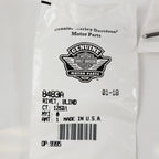 Rivet Blind 8483A for Harley-Davidson