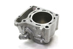 OEM Engine Cylinder for Kawasaki KLX300 (2024) 11005-0723