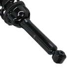 Pair Rear Struts Assembly for Honda CR-V (1997-2001)