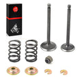Intake Exhaust Valve & Seal SPRING Yamaha G2 G14